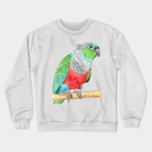 Crimson-bellied parakeet watercolor - conure painting bird portrait Crewneck Sweatshirt